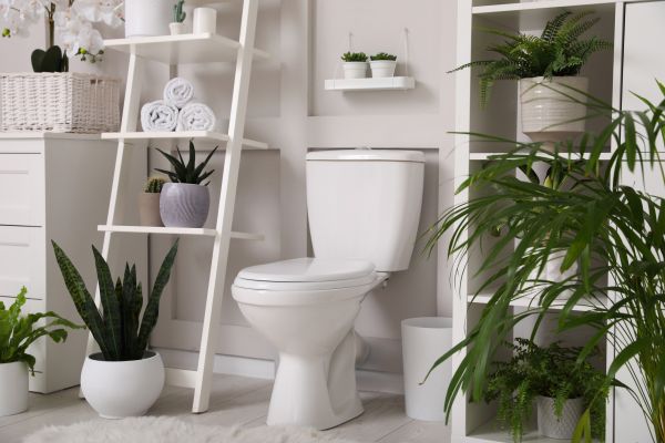 Cost of Toilet Repair in Gilbert