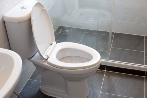 Toilet Replacement in Gilbert
